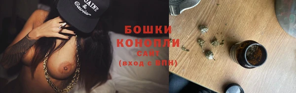 молекула духа Белоозёрский