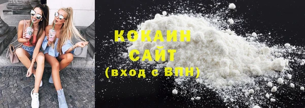 гидра Богданович