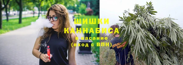 a pvp Белокуриха