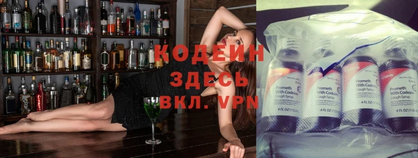 молекула духа Белоозёрский
